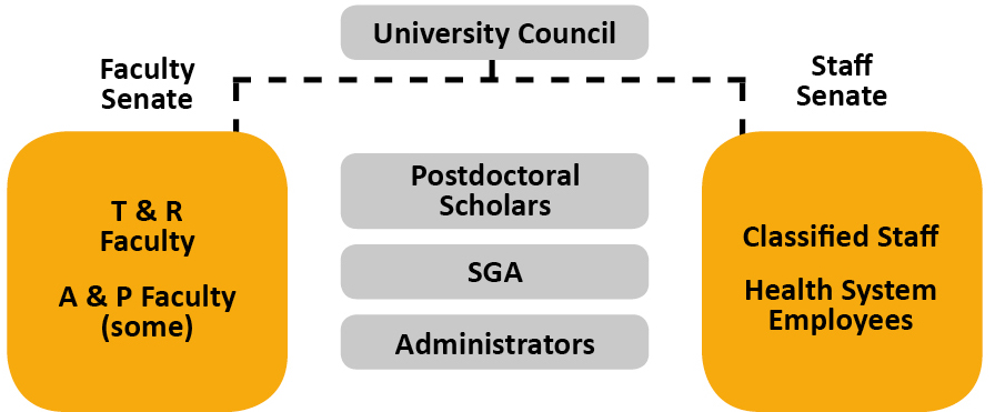 An illustration of VCU's current shared governance model